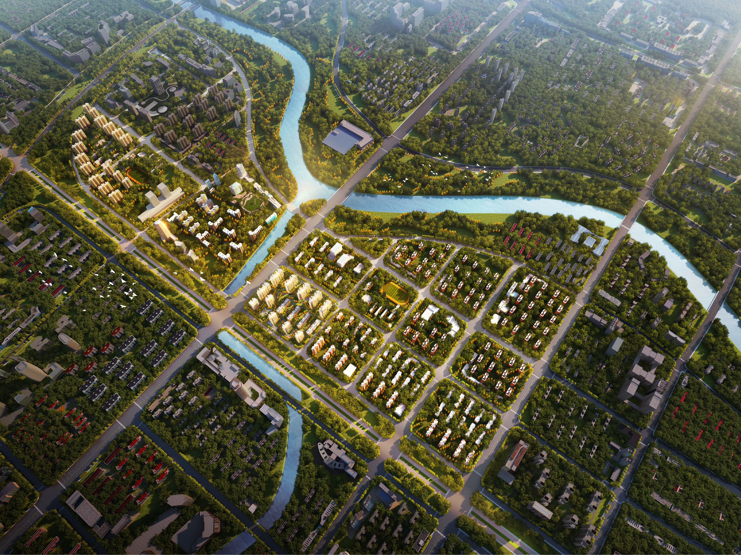 Ҏ(gu��)���D