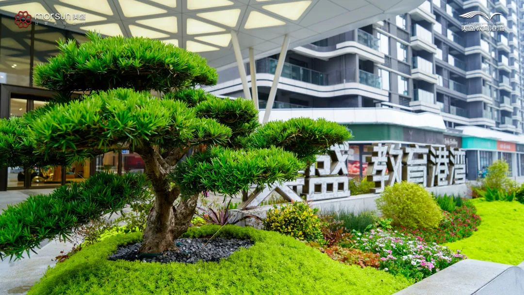 ��ʢ�����۞�һ�ڽ�������